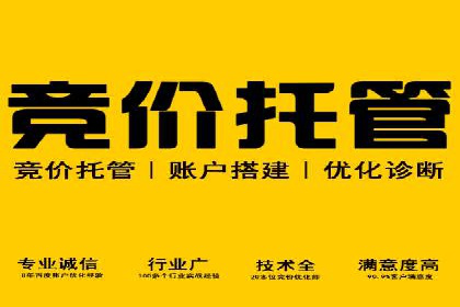 成功案例揭秘：如何有效进行SEM推广